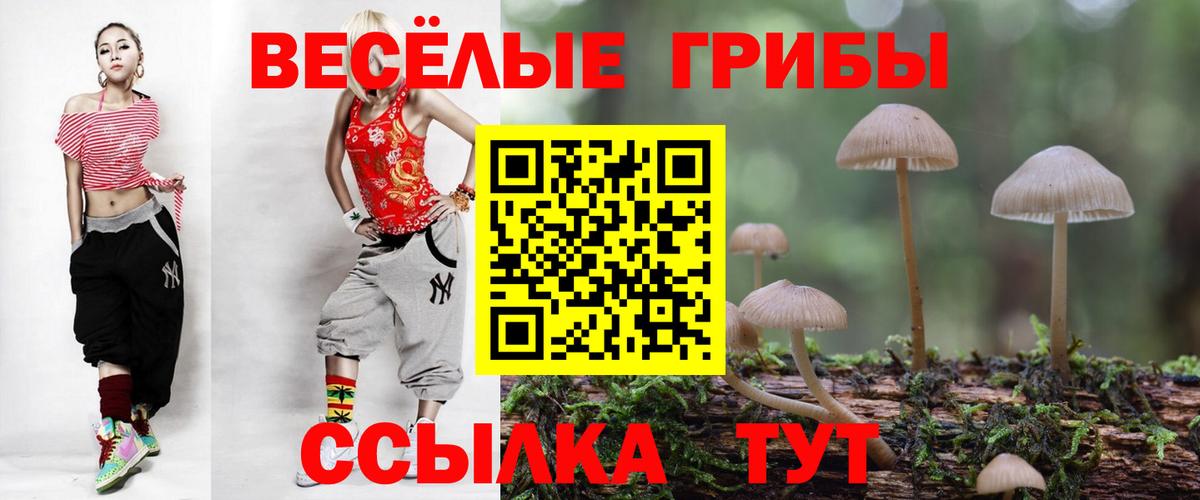 Псилоцибиновые грибы прущие грибы  Вход с VPN  Майский 